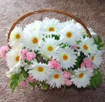 1 (15).webp