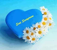 1 (16).webp