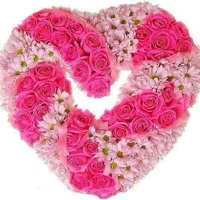 1 (17).webp