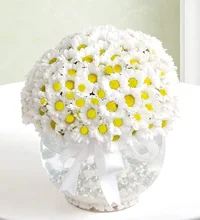 1 (19).webp