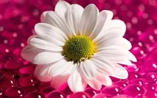 1 (20).webp