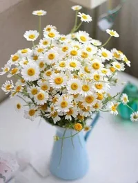1 (22).webp