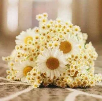 1 (23).webp