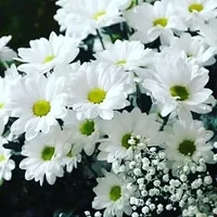 1 (24).webp