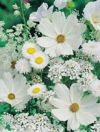 1 (27).webp