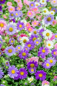 1 (30).webp
