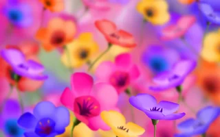 1 (31).webp