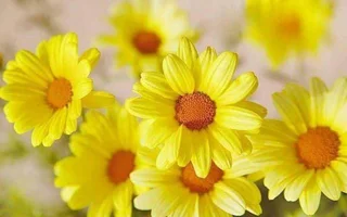 1 (36).webp