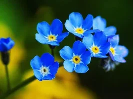 1 (37).webp