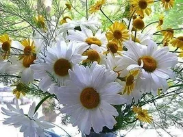 1 (39).webp