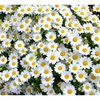 1 (47).webp