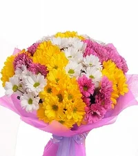 1 (49).webp