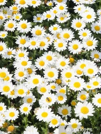 1 (51).webp