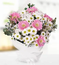 1 (52).webp