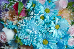 1 (55).webp
