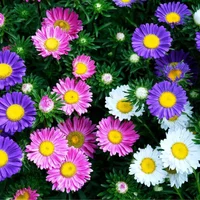 1 (58).webp