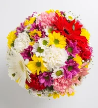1 (63).webp