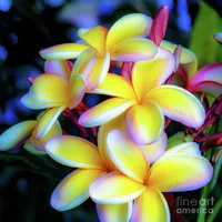 1 (67).webp