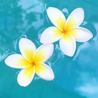 1 (68).webp