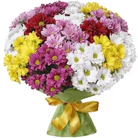 1 (71).webp