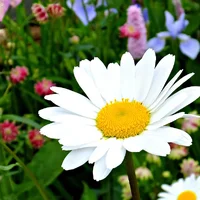 1 (73).webp