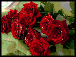 1 (12).gif