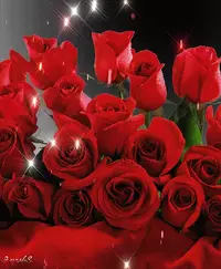 1 (14).webp