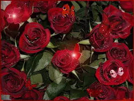 1 (15).webp