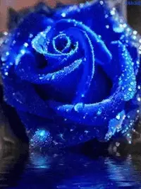 1 (19).webp