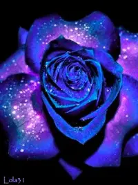 1 (20).webp