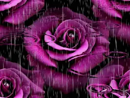 1 (29).webp