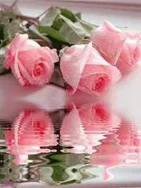 1 (31).webp