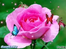 1 (35).webp