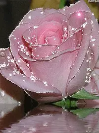 1 (36).webp