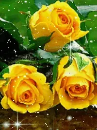 1 (40).webp