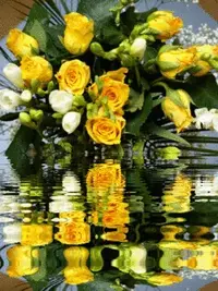 1 (41).webp