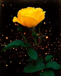 1 (42).webp