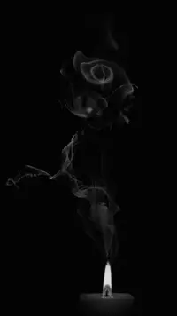 1 (49).webp