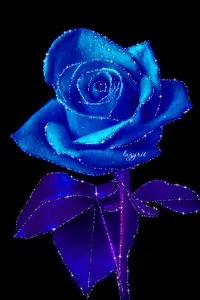 1 (54).webp