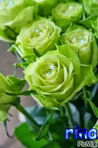 1 (66).webp