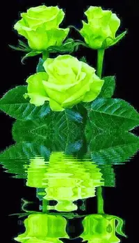 1 (71).webp
