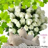 1 (8).webp