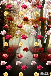 1 (10).webp