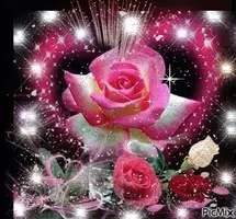 1 (11).webp