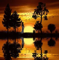 1 (14).webp