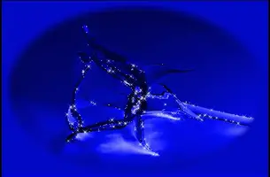 1 (15).webp
