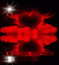 1 (16).webp