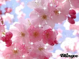 1 (17).webp