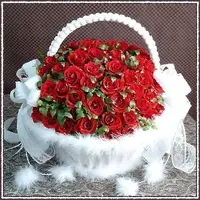 1 (18).webp