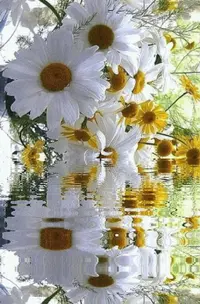 1 (20).webp